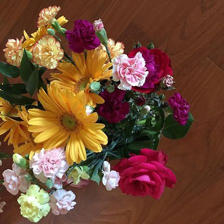 Guesthouse Flora Лоди Екстериор снимка